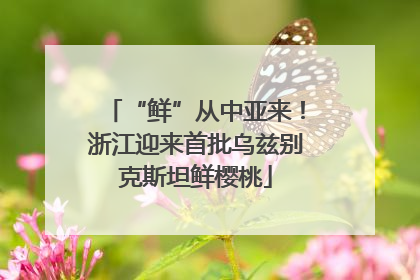 “鲜”从中亚来！浙江迎来首批乌兹别克斯坦鲜樱桃