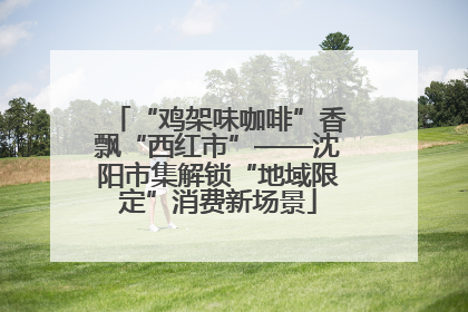 “鸡架味咖啡”香飘“西红市”——沈阳市集解锁“地域限定”消费新场景