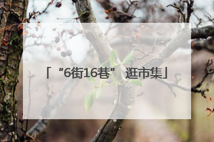 “6街16巷” 逛市集