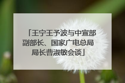 王宁王予波与中宣部副部长、国家广电总局局长曹淑敏会谈