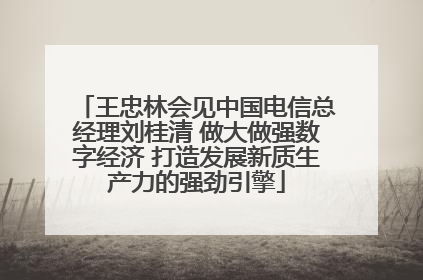 王忠林会见中国电信总经理刘桂清 做大做强数字经济 打造发展新质生产力的强劲引擎