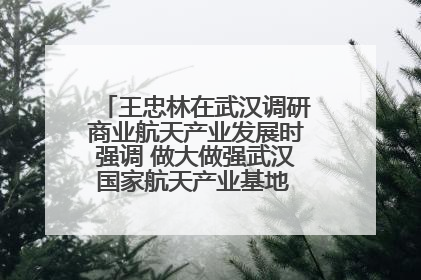 王忠林在武汉调研商业航天产业发展时强调 做大做强武汉国家航天产业基地 打造具有全国影响力的“中国星谷”