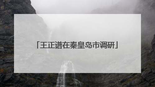 王正谱在秦皇岛市调研
