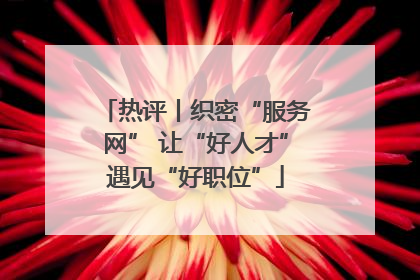 热评丨织密“服务网” 让“好人才”遇见“好职位”