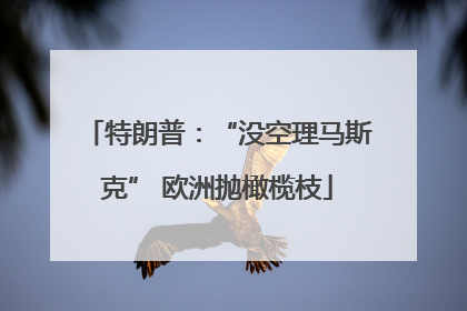 特朗普：“没空理马斯克” 欧洲抛橄榄枝