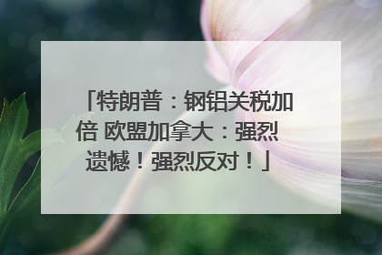 特朗普：钢铝关税加倍 欧盟加拿大：强烈遗憾！强烈反对！