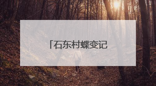 石东村蝶变记：从“穷山沟”到“聚宝盆”的乡村振兴传奇