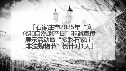 石家庄市2025年“文化和自然遗产日”非遗宣传展示活动暨“多彩石家庄·非遗购物节”倒计时1天