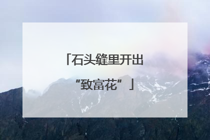 石头缝里开出“致富花”