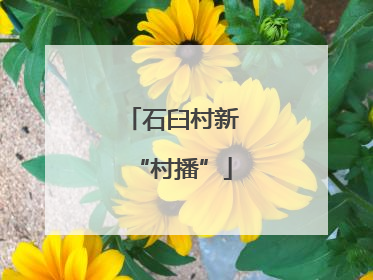 石臼村新“村播”