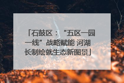 石鼓区：“五区一园一线”战略赋能 河湖长制绘就生态新图景