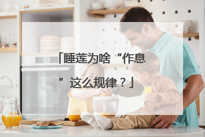 睡莲为啥“作息”这么规律？