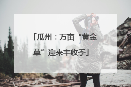 瓜州：万亩“黄金草”迎来丰收季