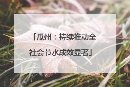 瓜州：持续推动全社会节水成效显著