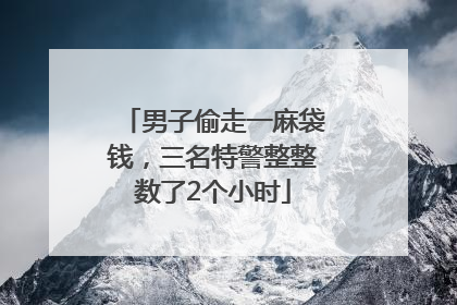 男子偷走一麻袋钱，三名特警整整数了2个小时