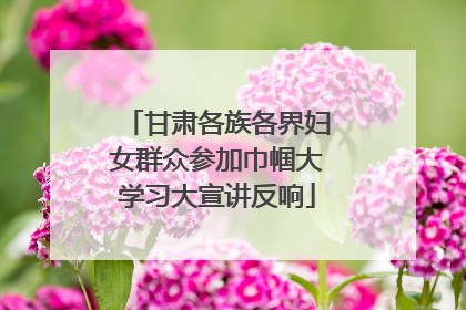 甘肃各族各界妇女群众参加巾帼大学习大宣讲反响