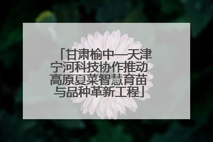 甘肃榆中—天津宁河科技协作推动高原夏菜智慧育苗与品种革新工程