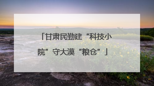 甘肃民勤建“科技小院”守大漠“粮仓”