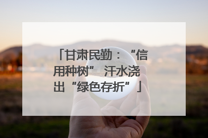 甘肃民勤：“信用种树” 汗水浇出“绿色存折”