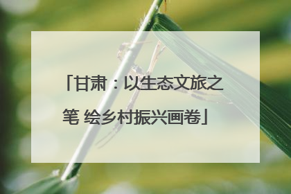 甘肃：以生态文旅之笔 绘乡村振兴画卷