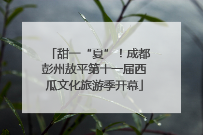 甜一“夏”！成都彭州敖平第十一届西瓜文化旅游季开幕