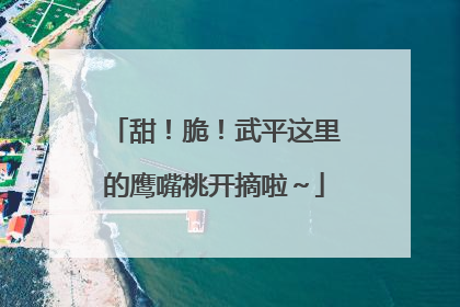 甜！脆！武平这里的鹰嘴桃开摘啦～