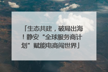 生态共建，破局出海！静安“全球服务商计划”赋能电商闯世界