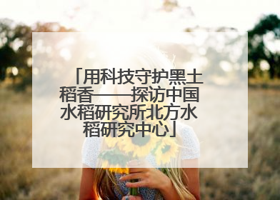 用科技守护黑土稻香——探访中国水稻研究所北方水稻研究中心