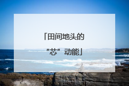 田间地头的“芯”动能