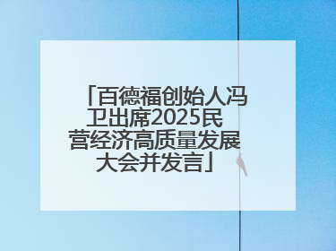 百德福创始人冯卫出席2025民营经济高质量发展大会并发言