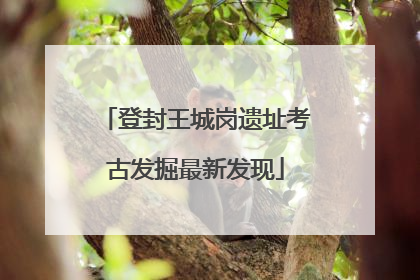 登封王城岗遗址考古发掘最新发现