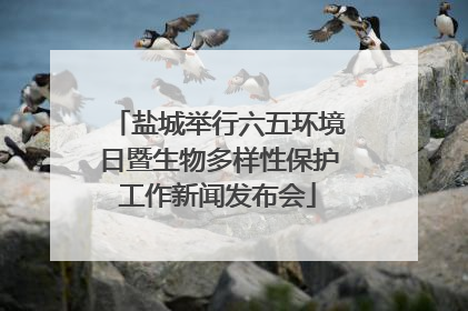 盐城举行六五环境日暨生物多样性保护工作新闻发布会