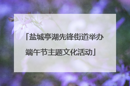盐城亭湖先锋街道举办端午节主题文化活动