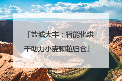 盐城大丰：智能化烘干助力小麦颗粒归仓