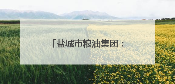 盐城市粮油集团：创新驱动助转型 提质增效促发展