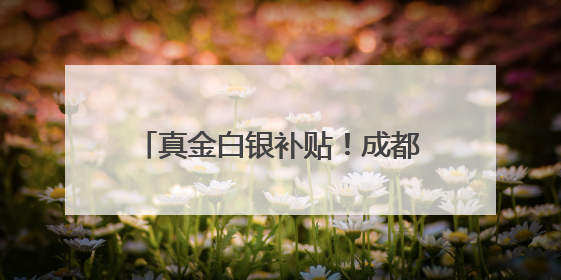 真金白银补贴！成都汽车消费嘉年华启幕 端午购车正当时｜网络中国节·端午