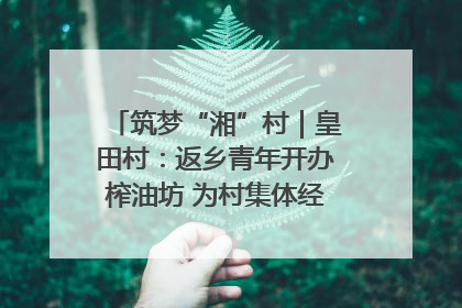筑梦“湘”村｜皇田村：返乡青年开办榨油坊 为村集体经济“加油”