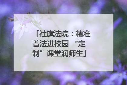 社旗法院：精准普法进校园 “定制”课堂润师生