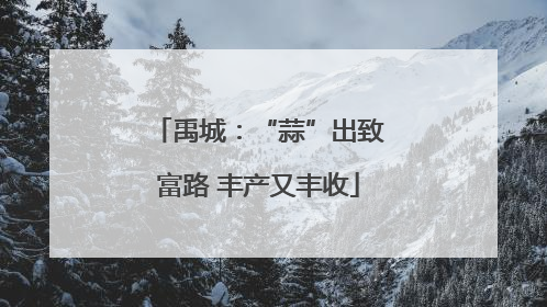 禹城：“蒜”出致富路 丰产又丰收