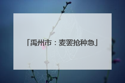 禹州市：麦罢抢种急