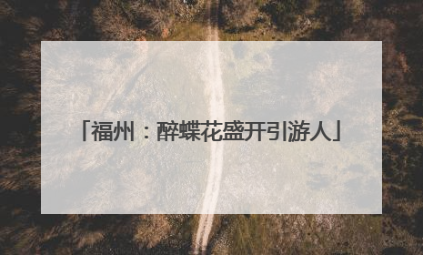 福州：醉蝶花盛开引游人