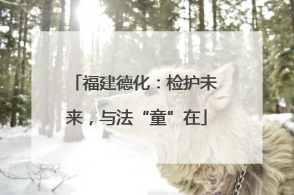 福建德化：检护未来，与法“童”在