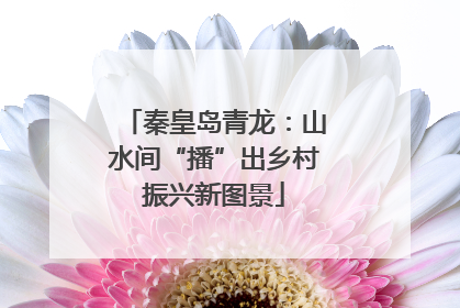 秦皇岛青龙：山水间“播”出乡村振兴新图景