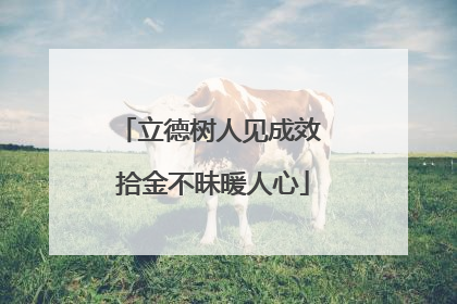 立德树人见成效 拾金不昧暖人心