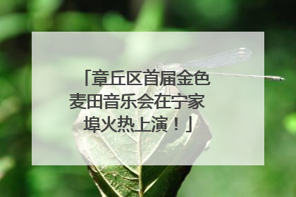 章丘区首届金色麦田音乐会在宁家埠火热上演！