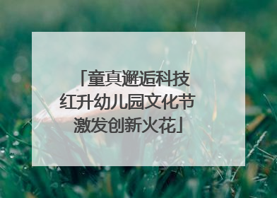 童真邂逅科技 红升幼儿园文化节激发创新火花