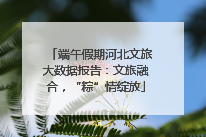 端午假期河北文旅大数据报告：文旅融合，“粽”情绽放