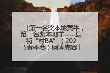 第一名奖本地黄牛，第二名奖本地羊……县街“村BA”（2025春季赛）圆满完赛
