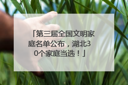 第三届全国文明家庭名单公布，湖北30个家庭当选！