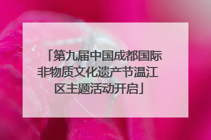 第九届中国成都国际非物质文化遗产节温江区主题活动开启